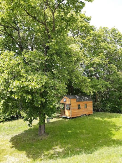 Micro Maison Bois / Tiny House Au Calme Crest Ngoại thất bức ảnh