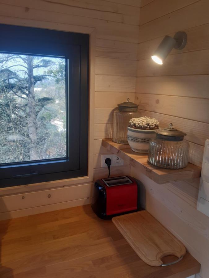Micro Maison Bois / Tiny House Au Calme Crest Ngoại thất bức ảnh
